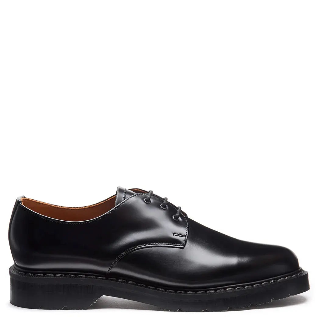 Black leather shoe on a white background