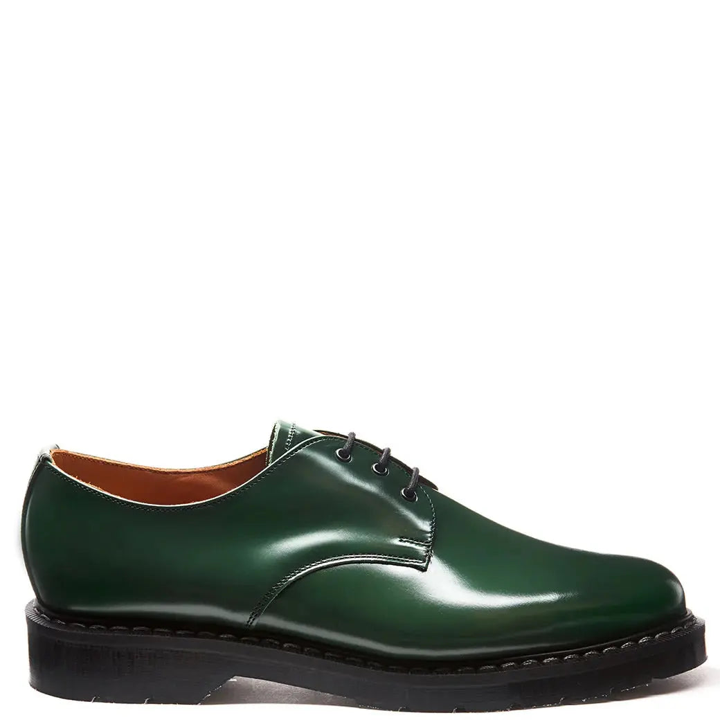 Green leather shoe on a white background