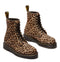 1460 - Pascal Leopard