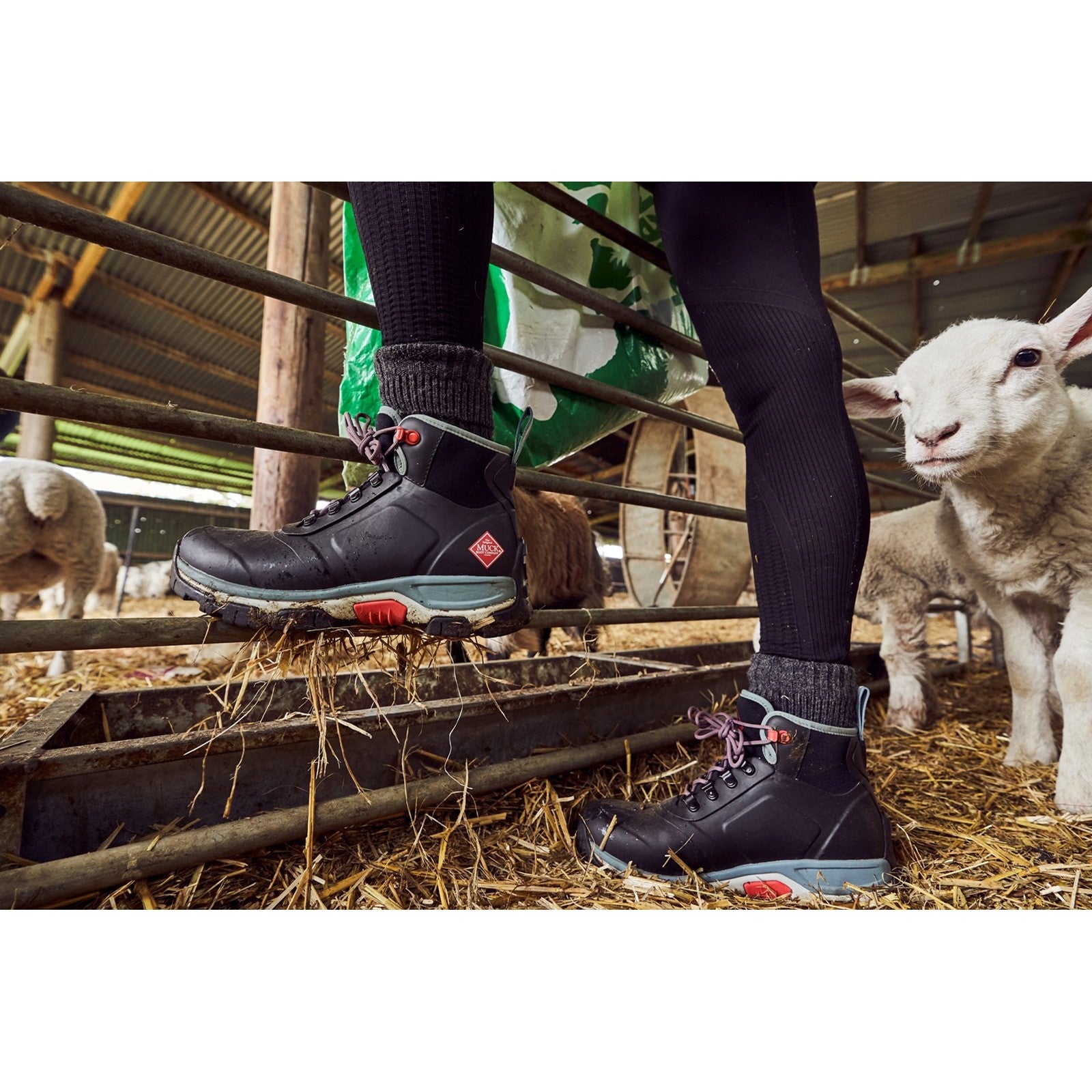 Apex Wellingtons Muck Boots